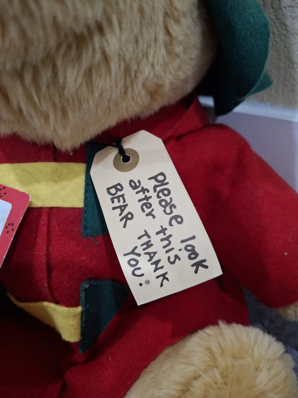 Paddington Bear - Picture 7 of 11
